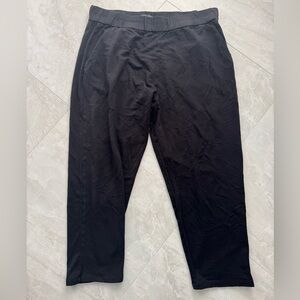 Women’s Eileen Fisher black pants large